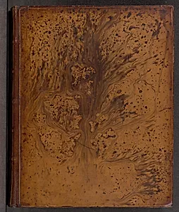 Vida y Hechos del Ingenioso Hidalgo Don Quixote de la Mancha (volume 3)
