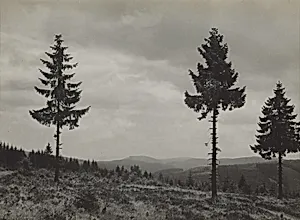 View of the Ederkopf
