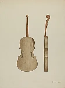 Violin