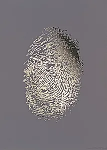 Visa II