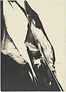Visitation