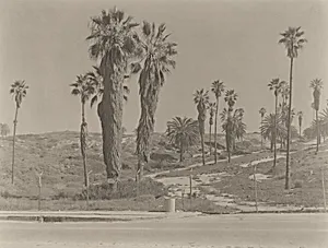 Vista Del Mar (Via LAX)