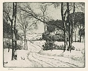 Vista