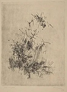 Volo (Flight)
