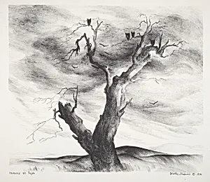 Vultures at Tejon