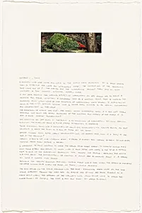 Washington Diary