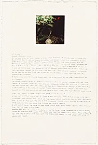 Washington Diary