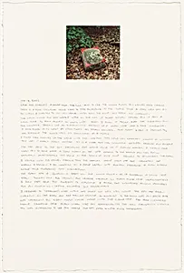 Washington Diary