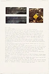Washington Diary