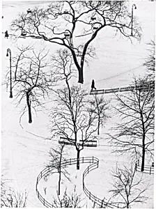Washington Square