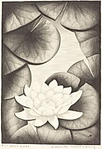 Water Lilies