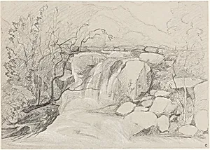 Waterfall with Rocks