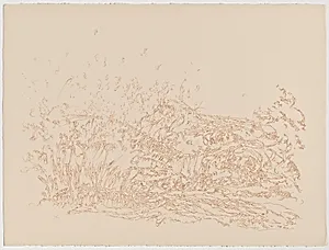 Wave from Of Nature, Of Man