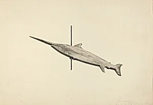 Weather Vane