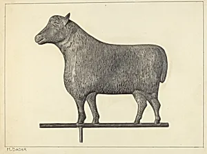 Weather Vane