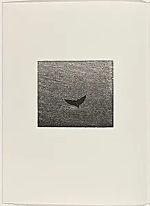 Whale