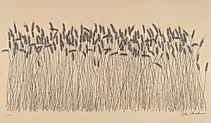 Wheat Field