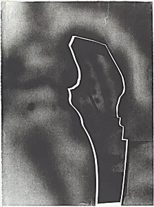 White Divisions #2