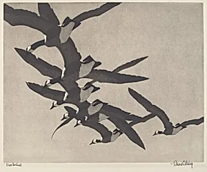 Wild Geese