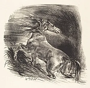 Wild Horse Coming out of the Water (Cheval sauvage) by Eugène Delacroix