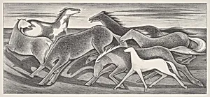 Wild Horses