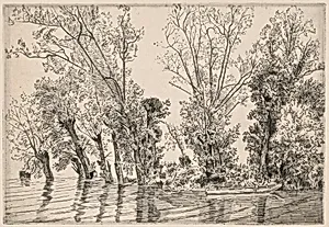 Willows of the Mottiaux Islands by Félix Bracquemond