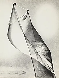 Wind Piece