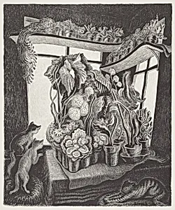 Winter Garden