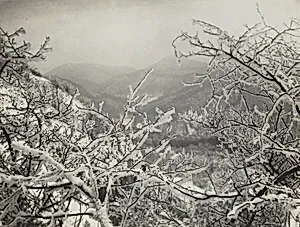 Winter in the Siebengebirge