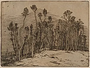 Winter Landscape (Il bosco d'inverno)