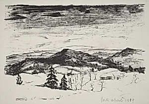 Winter Landscape, Shanty Brook