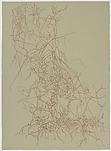 Winter Vine from Of Nature, Of Man