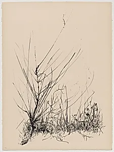 Winter Weeds from Of Nature, Of Man