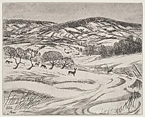 Wintry Fields