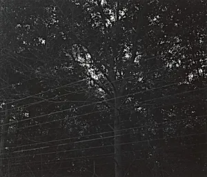Wires, Guilford, Connecticut