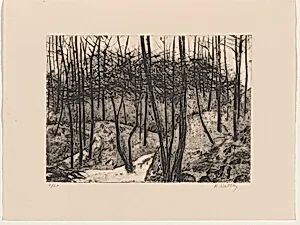 Wissahickon Landscape