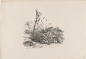 Withered Tree by a Pond
