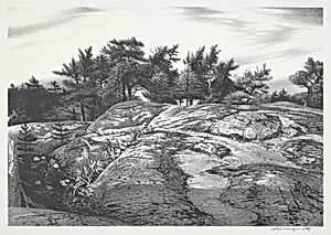 Woodland Ledge