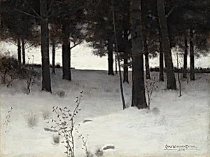 Woods in Winter