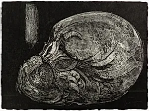 Worm Pit from Charenton