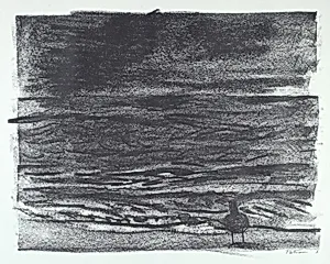 X from Sea Bird Saga