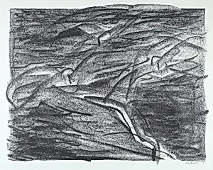 XI from Sea Bird Saga