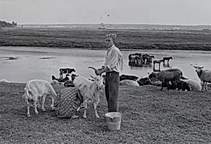 Young Pioneer Camp, Soviet Union