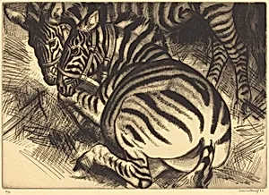Zebras
