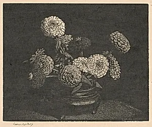 Zinnias