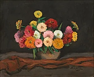 Zinnias