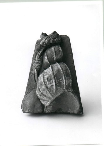 Fragment bestaande uit enkele schelpen