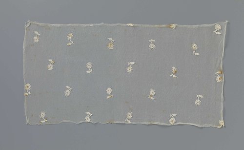 Fragment applicatiekant met meizoentjes by anonymous