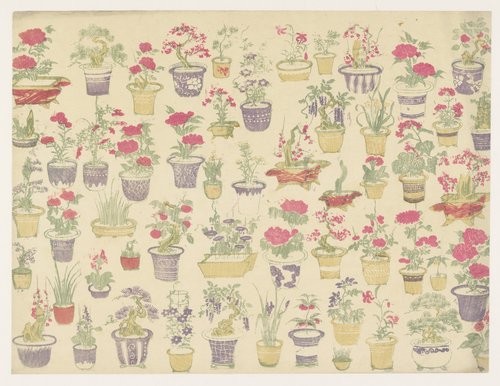 Patroon van potten met verschillende planten by anonymous