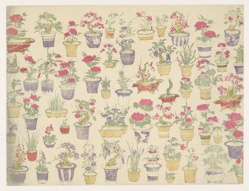 Patroon van potten met verschillende planten by anonymous